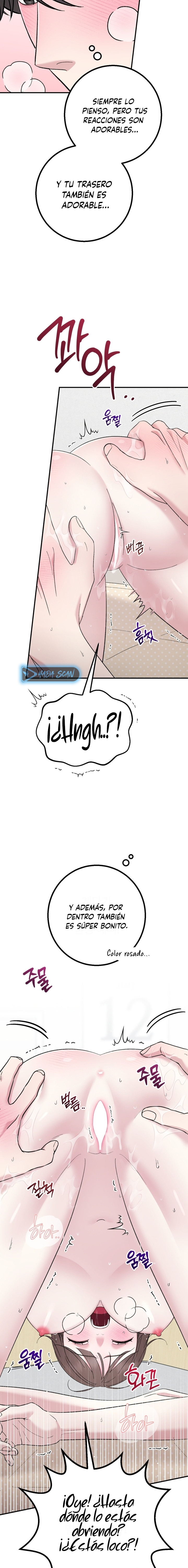 Página 12