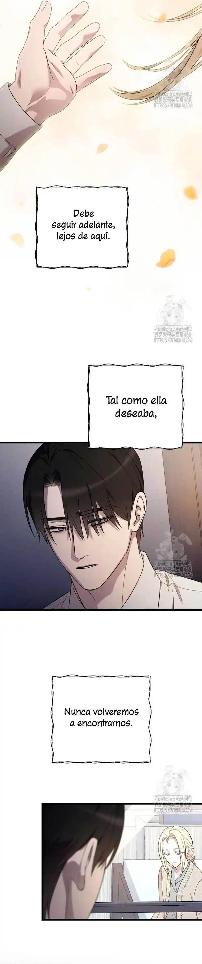 Página 41