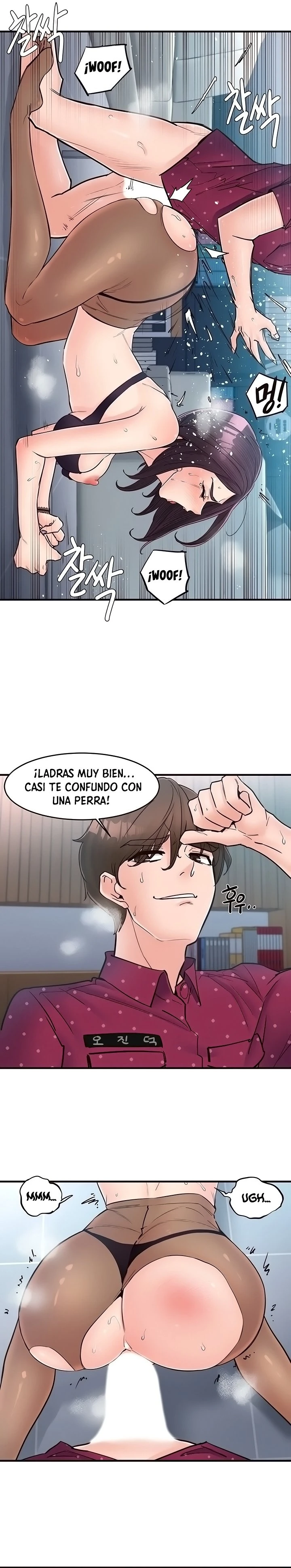 Página 12