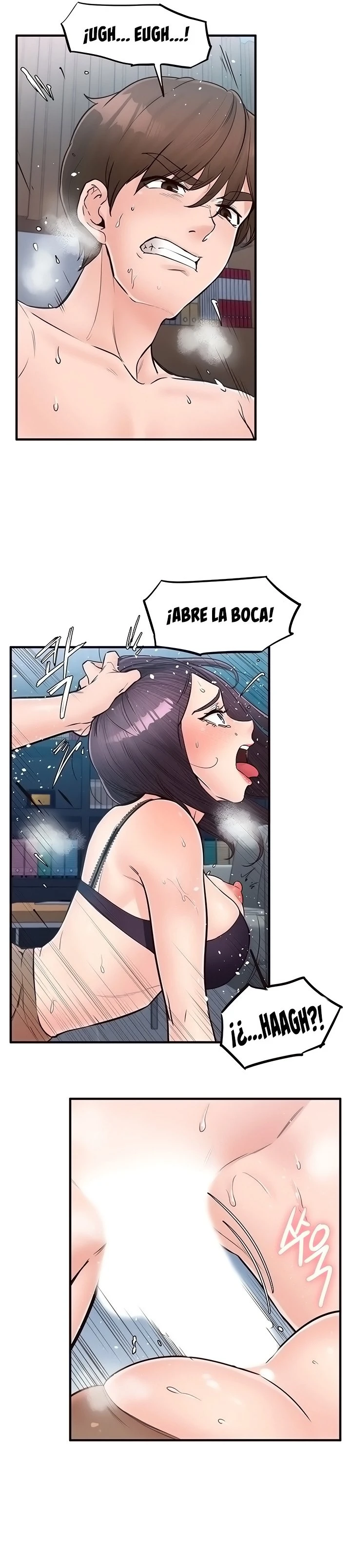 Página 17