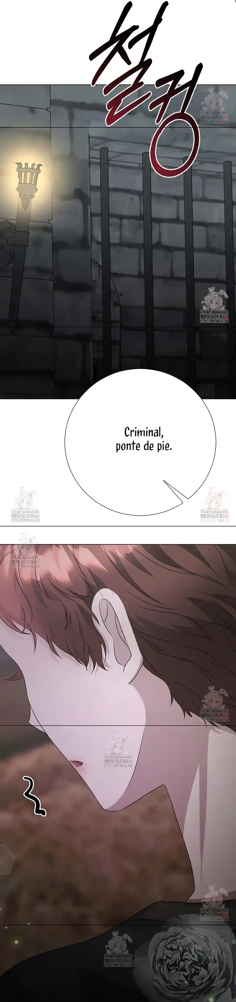 Página 44