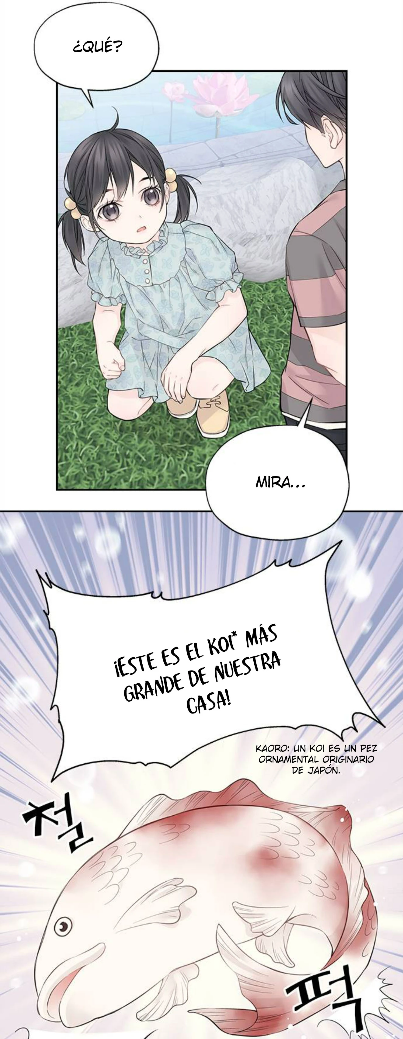 Página 55