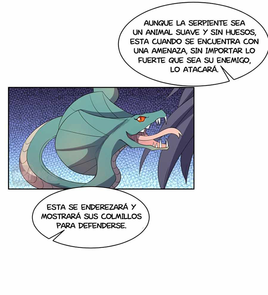 Página 47