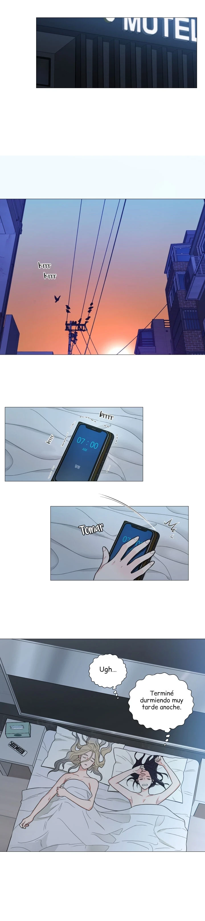 Página 7