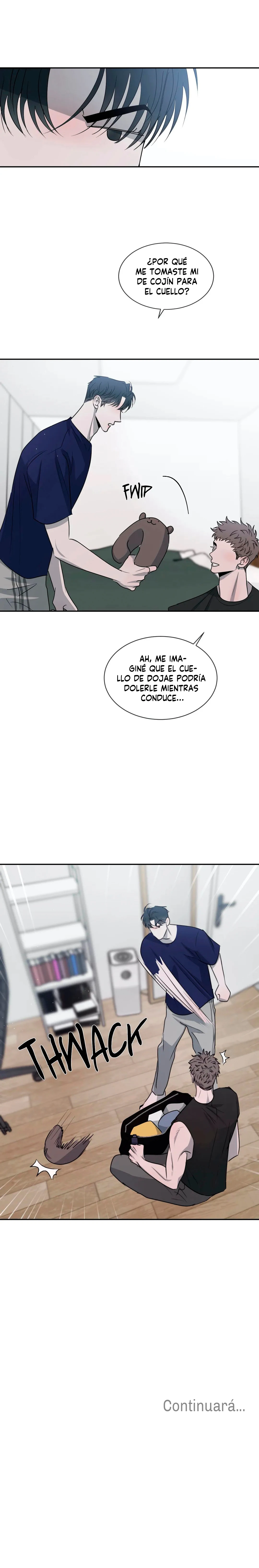 Página 17