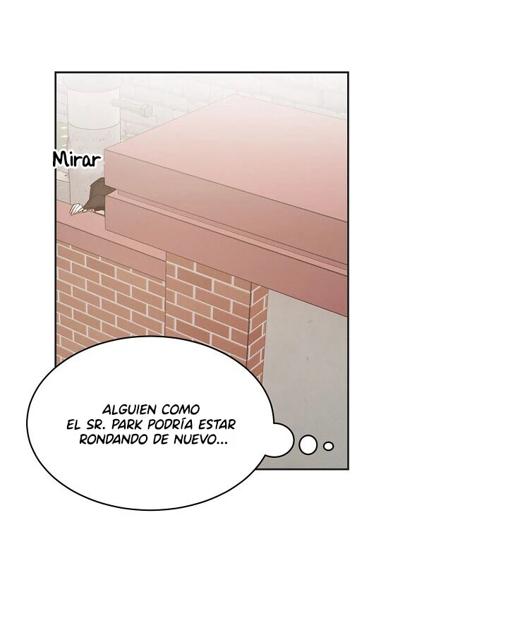 Página 41
