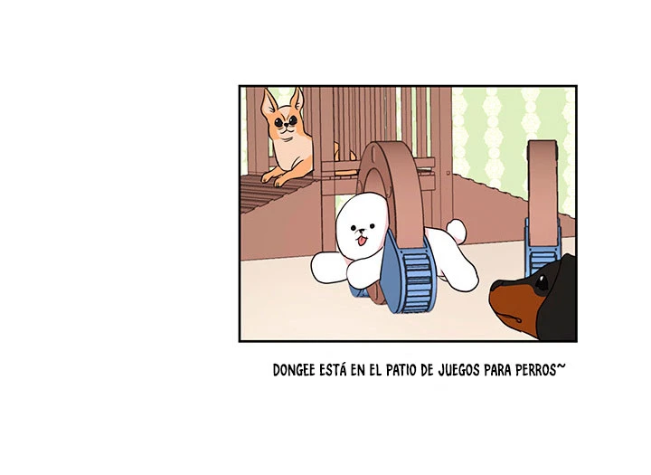 Página 60