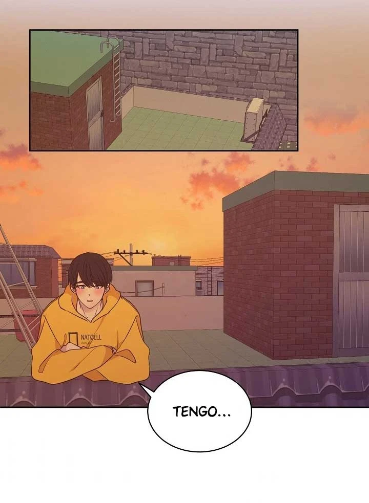 Página 51