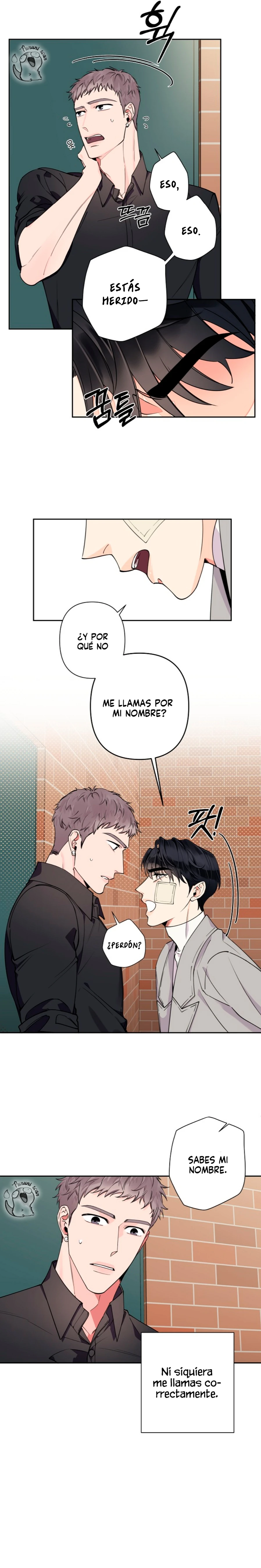 Página 8