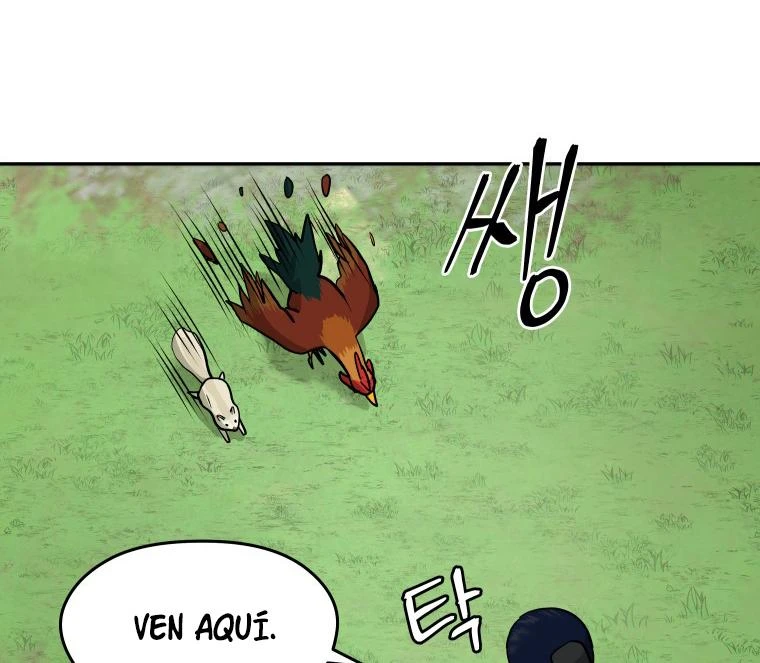 Página 41