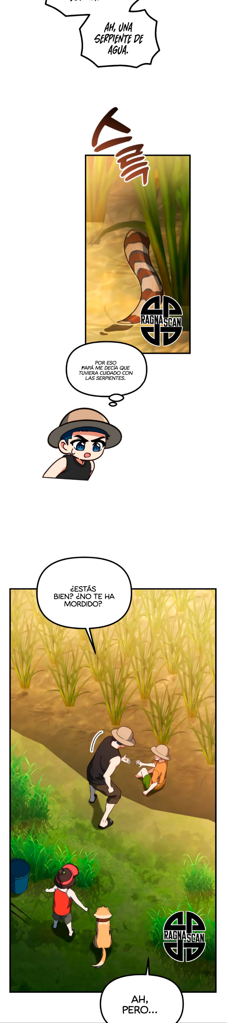 Página 43