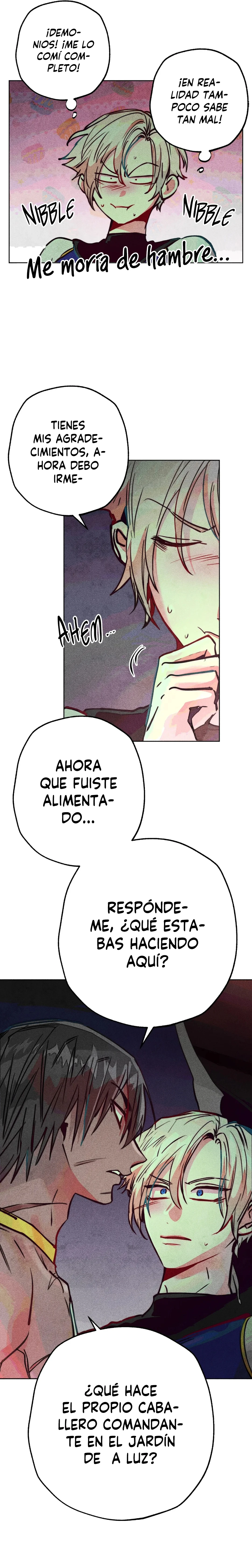 Página 17