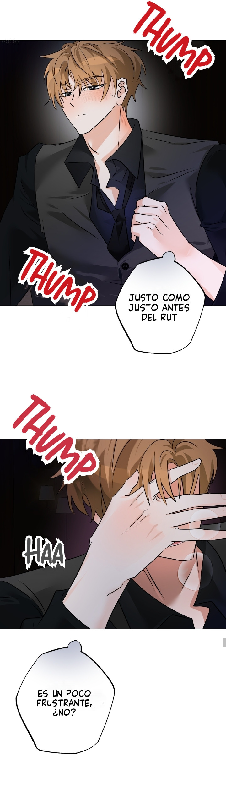 Página 31