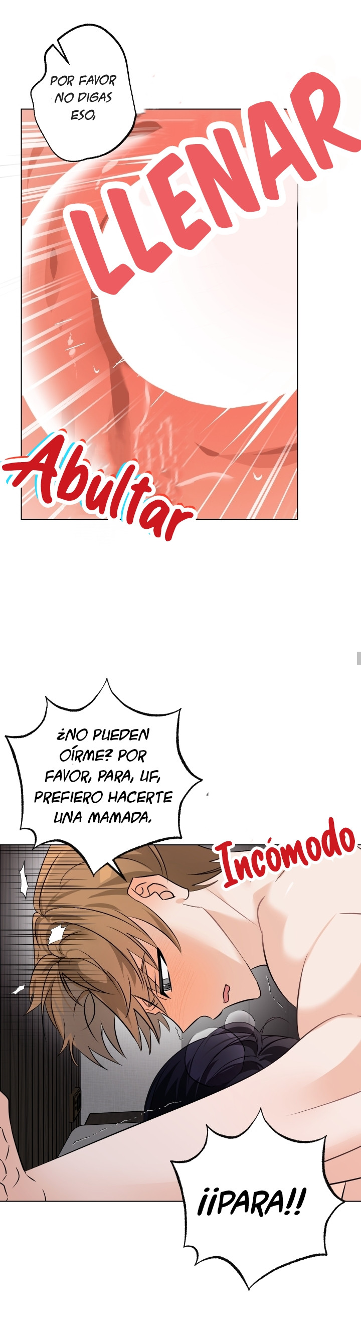 Página 17