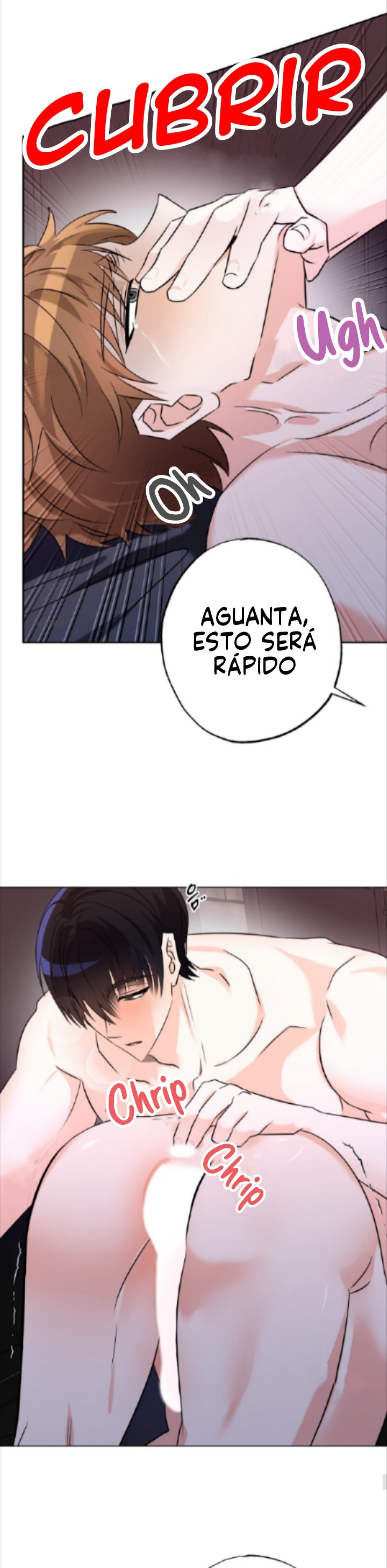 Página 31