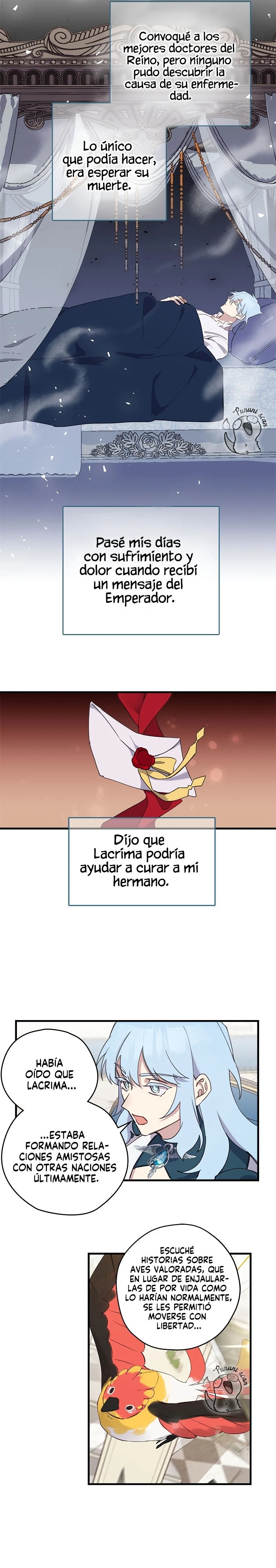 Página 8