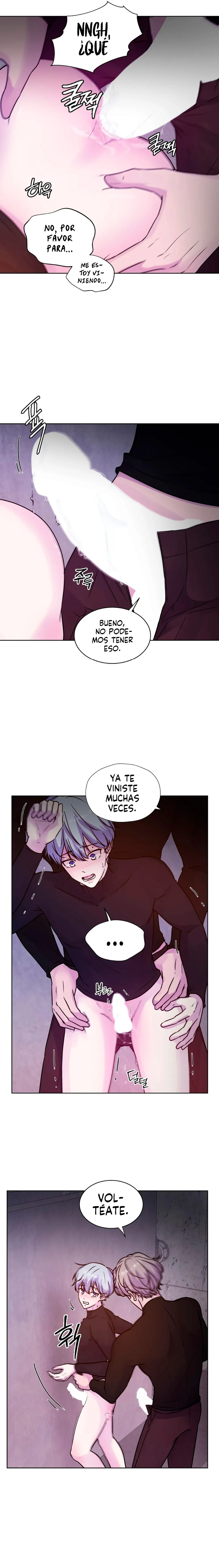 Página 7