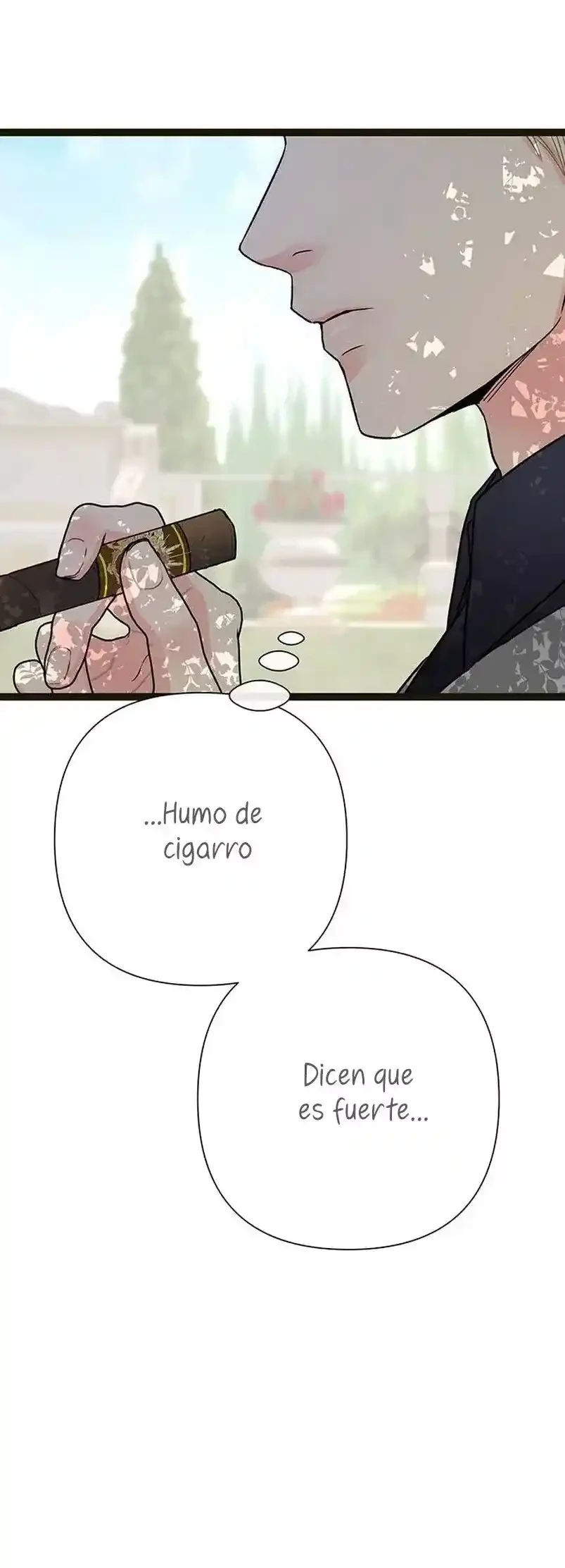 Página 41