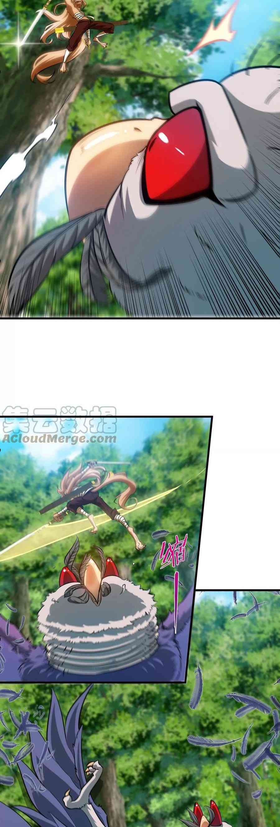 Página 13