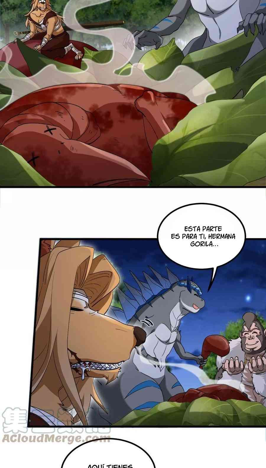 Página 17
