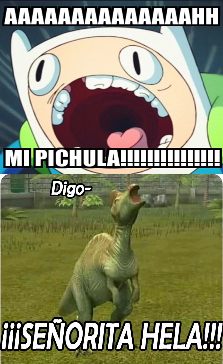 Página 6