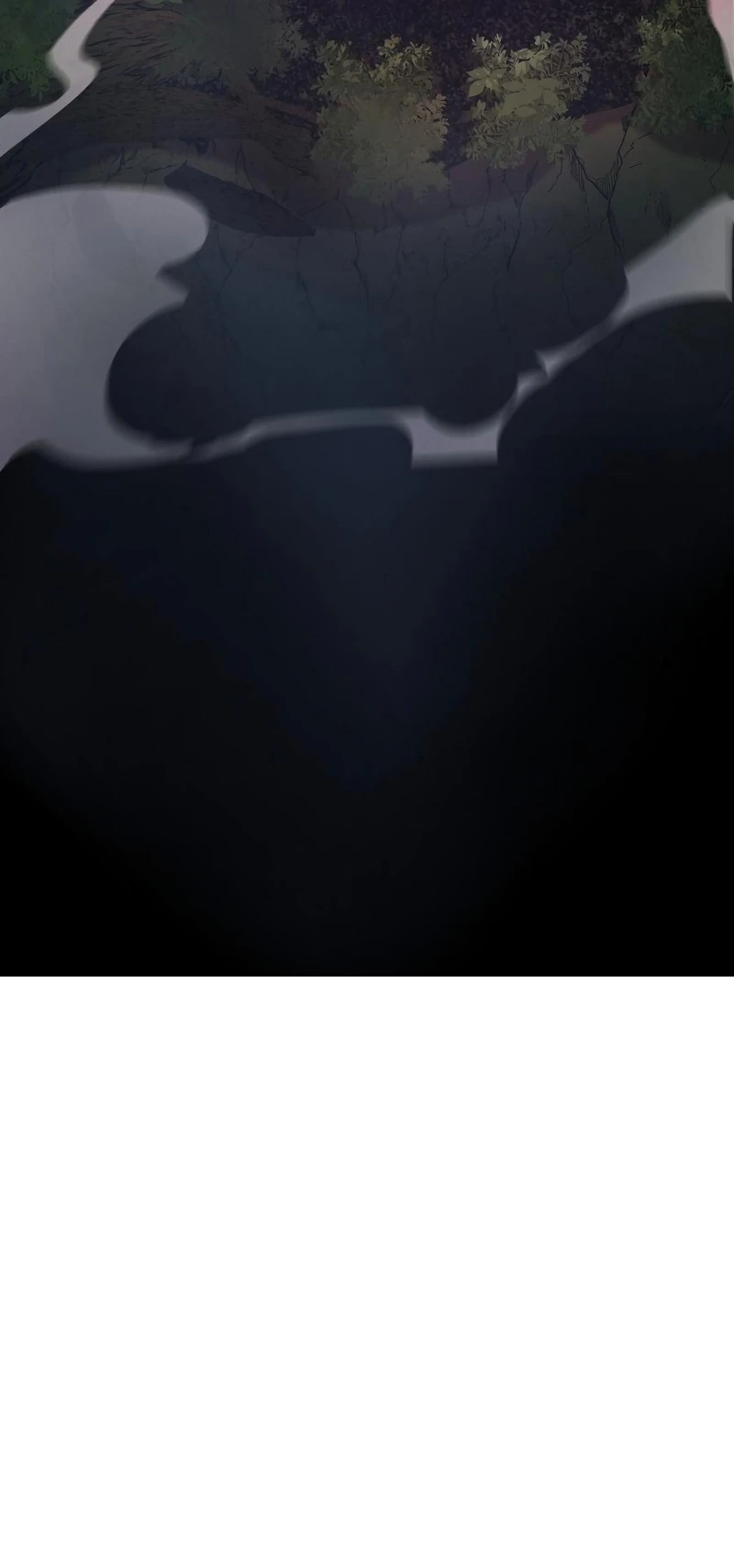 Página 46