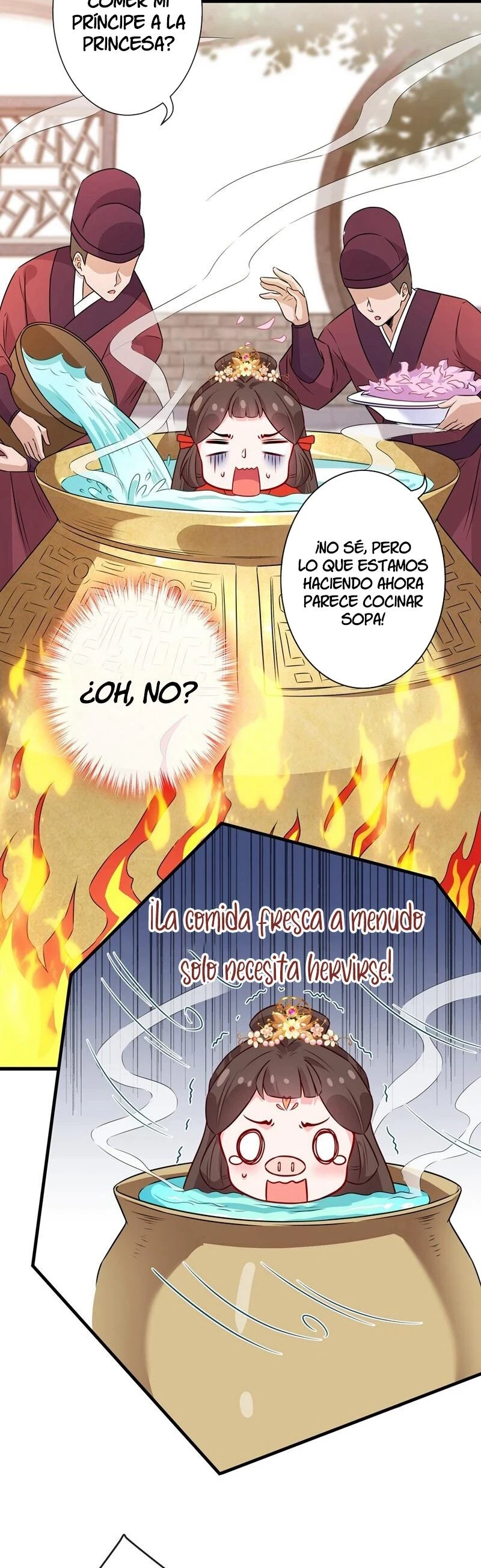 Página 17