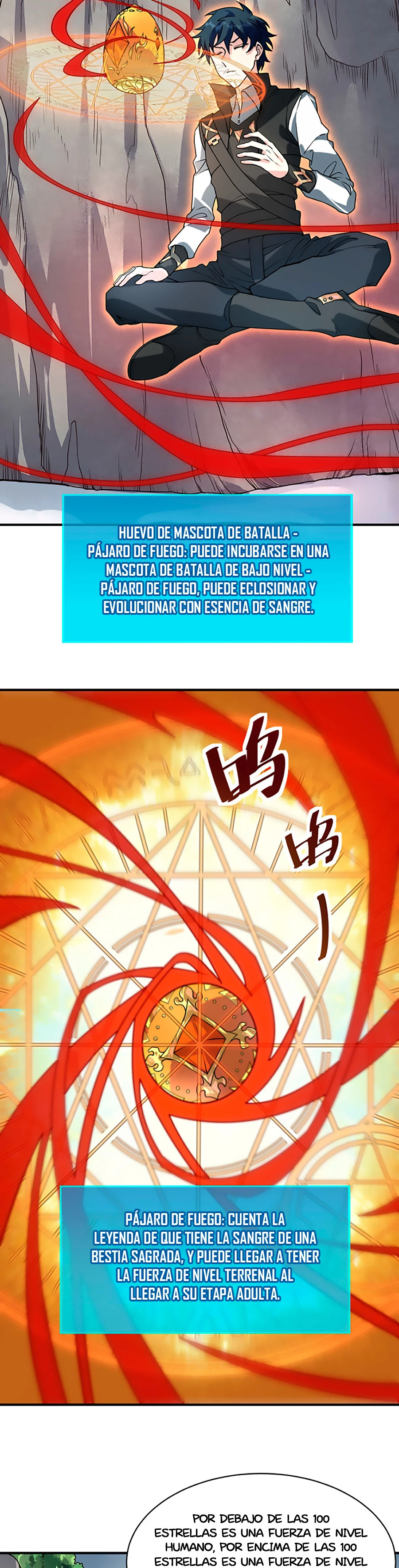 Página 4