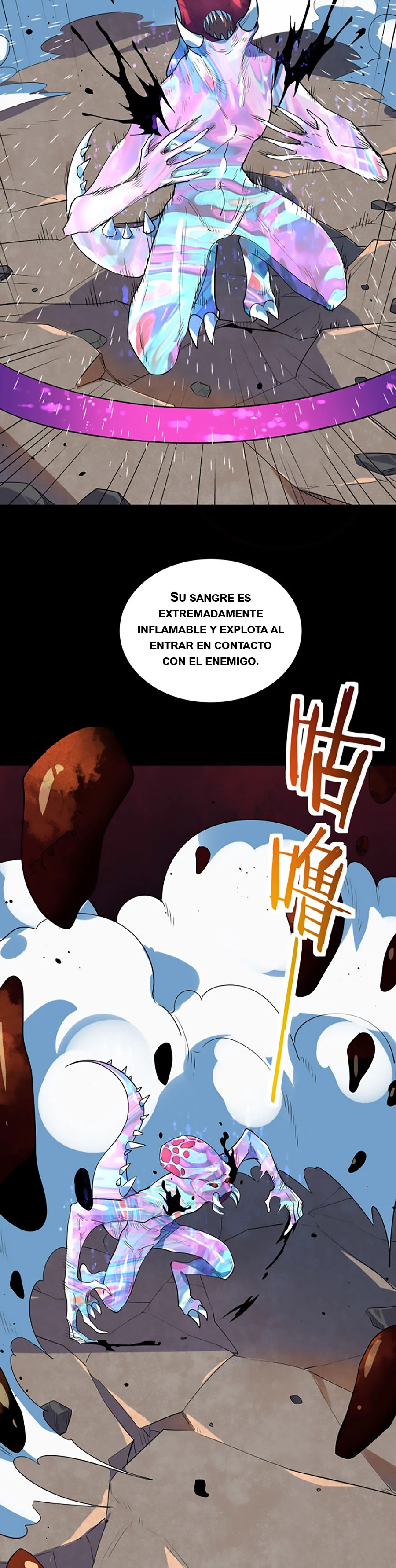 Página 17