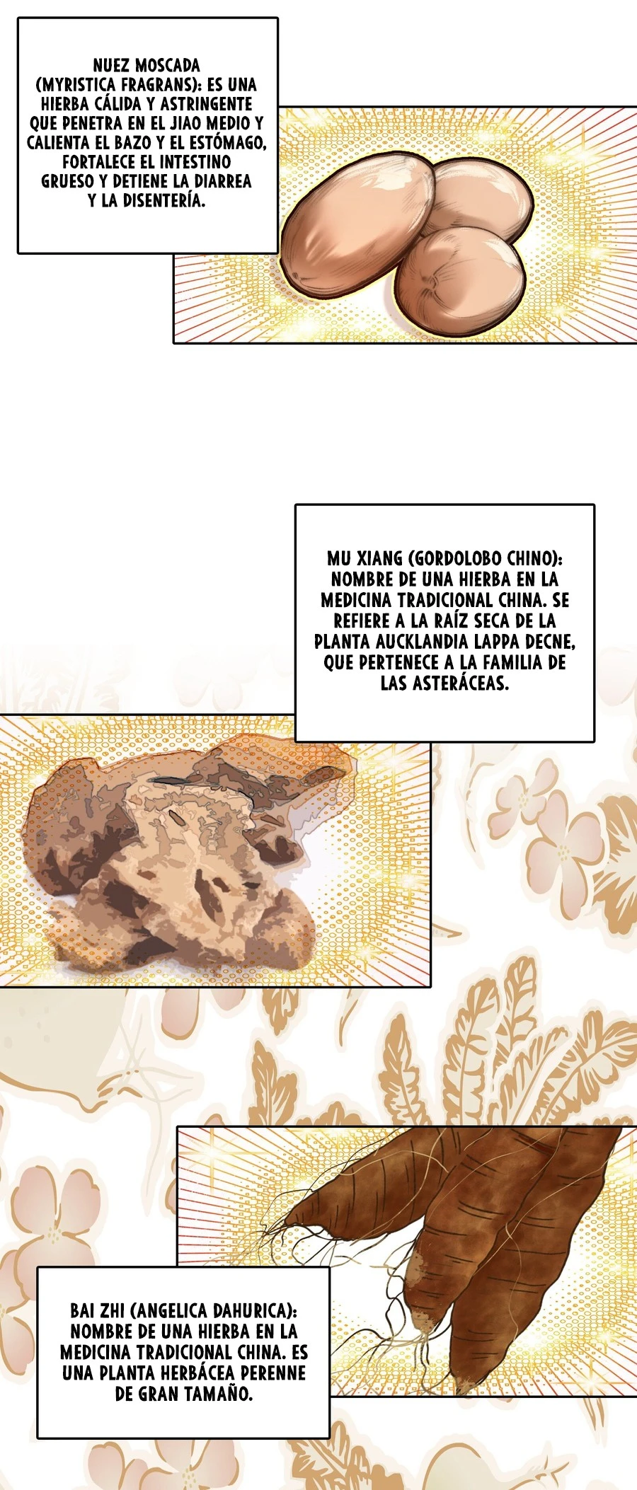 Página 10