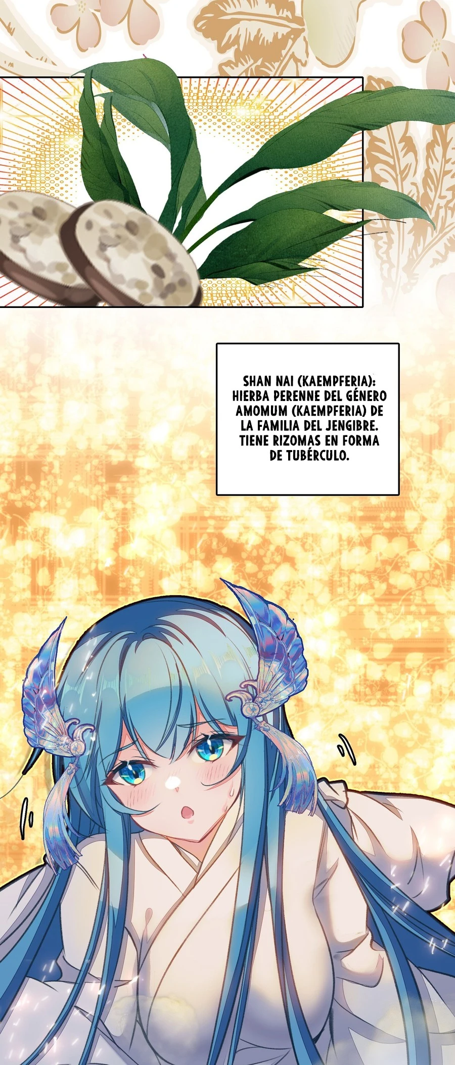 Página 11