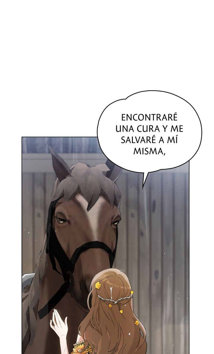 Página 56