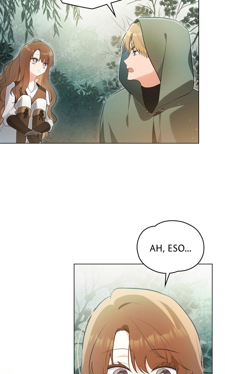 Página 53