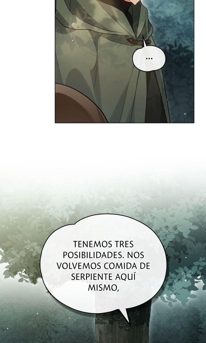 Página 41