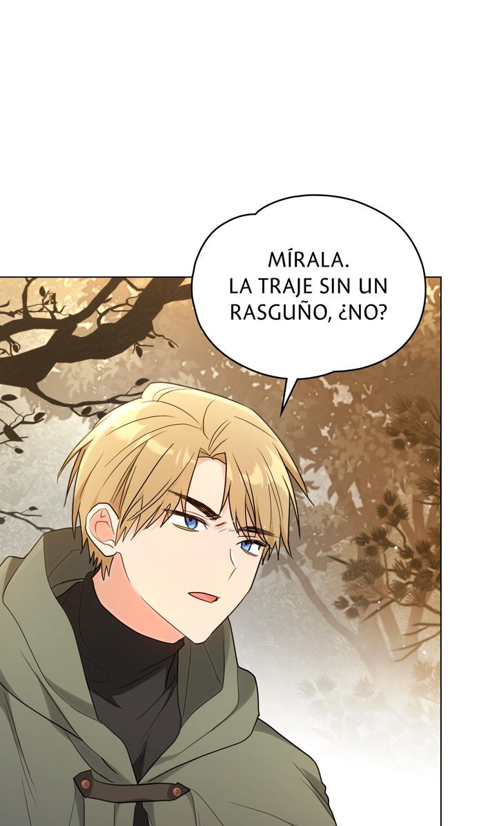 Página 42
