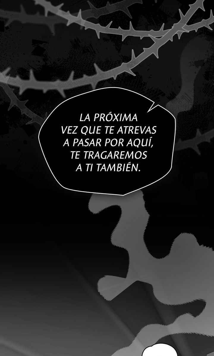 Página 46