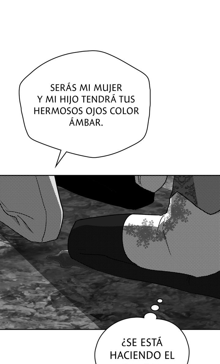 Página 61