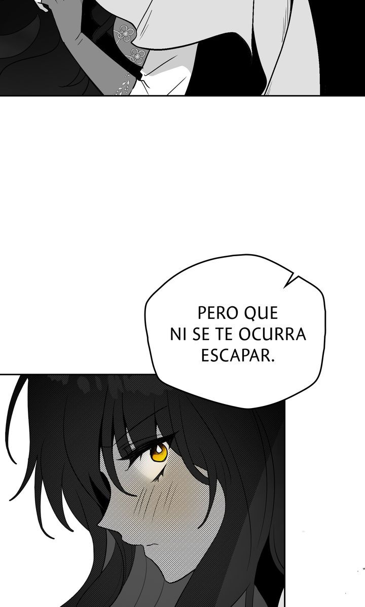 Página 68