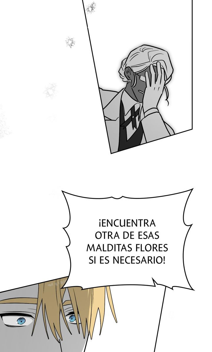 Página 51