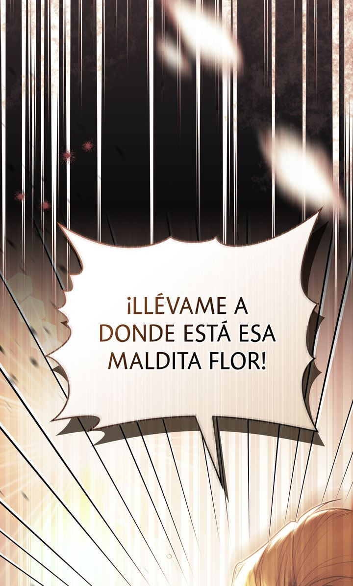 Página 82