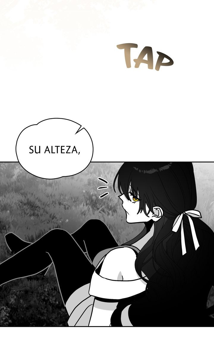 Página 44