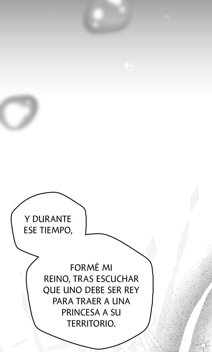 Página 46