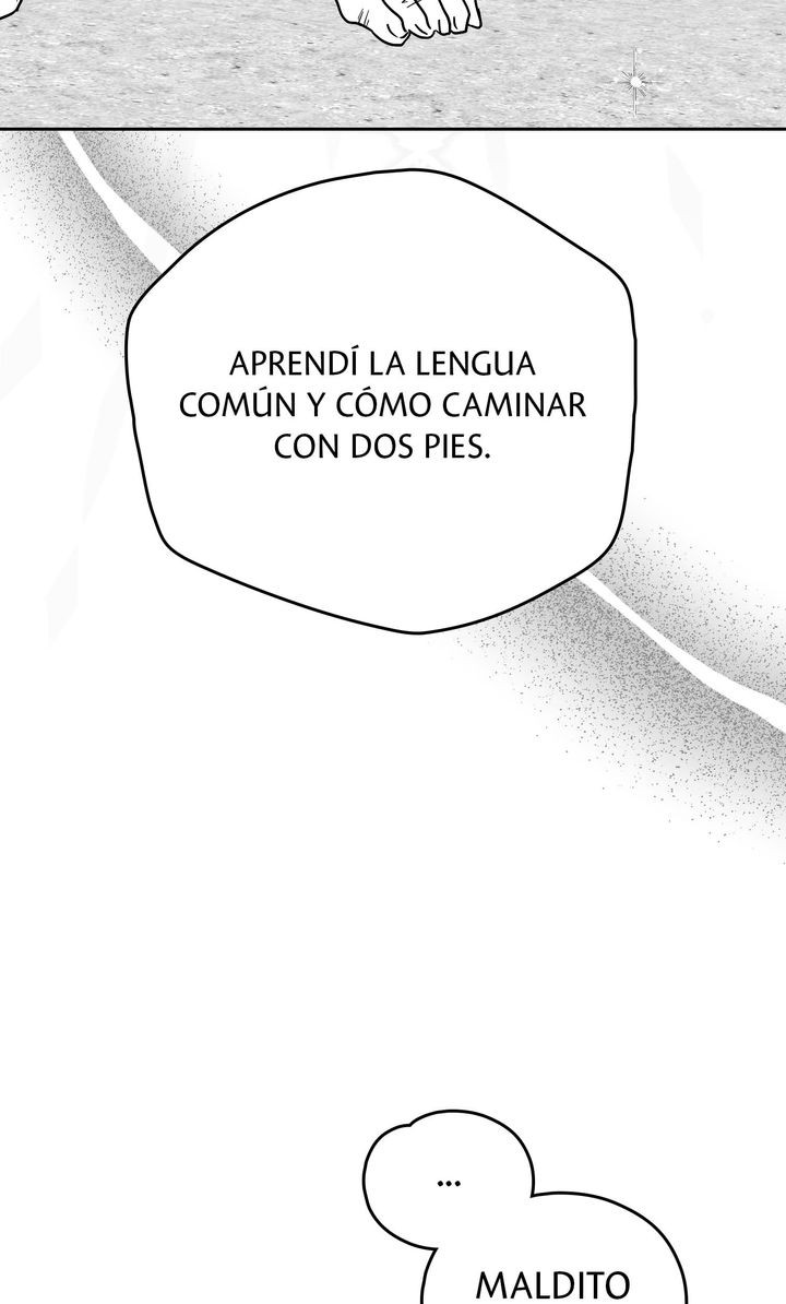 Página 48