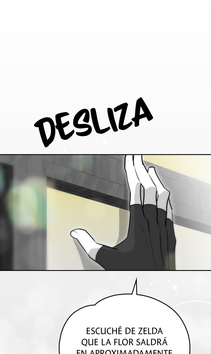 Página 46
