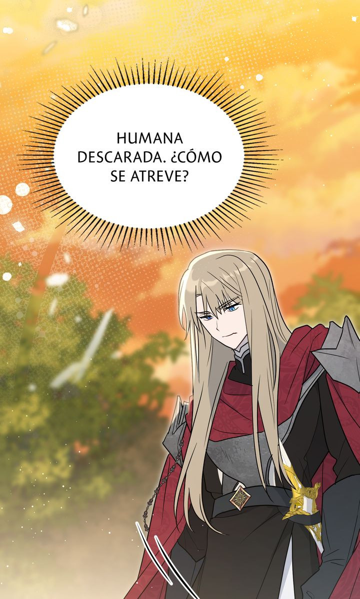 Página 40