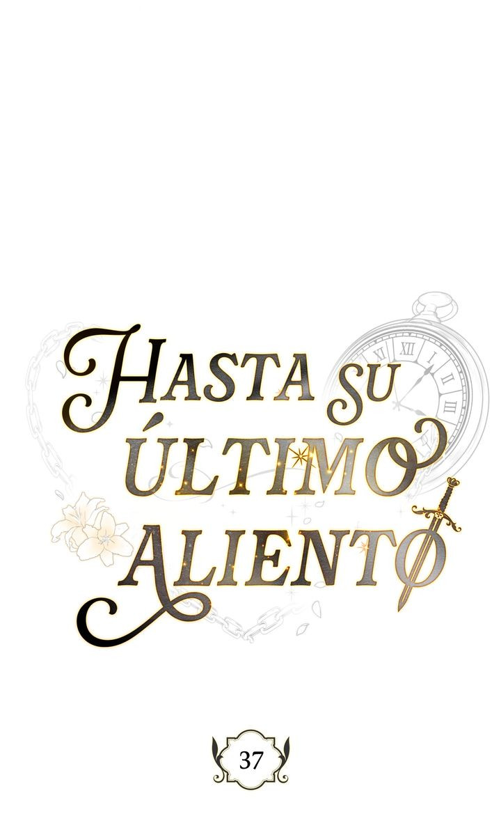 Página 37