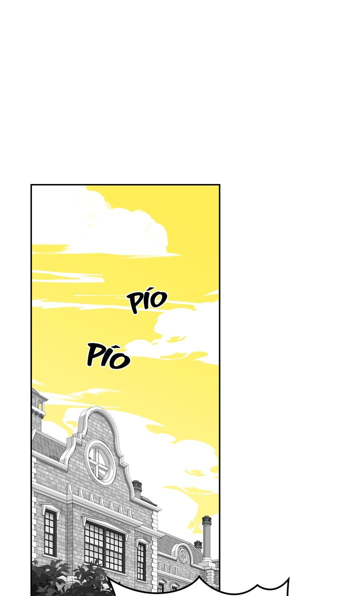 Página 55