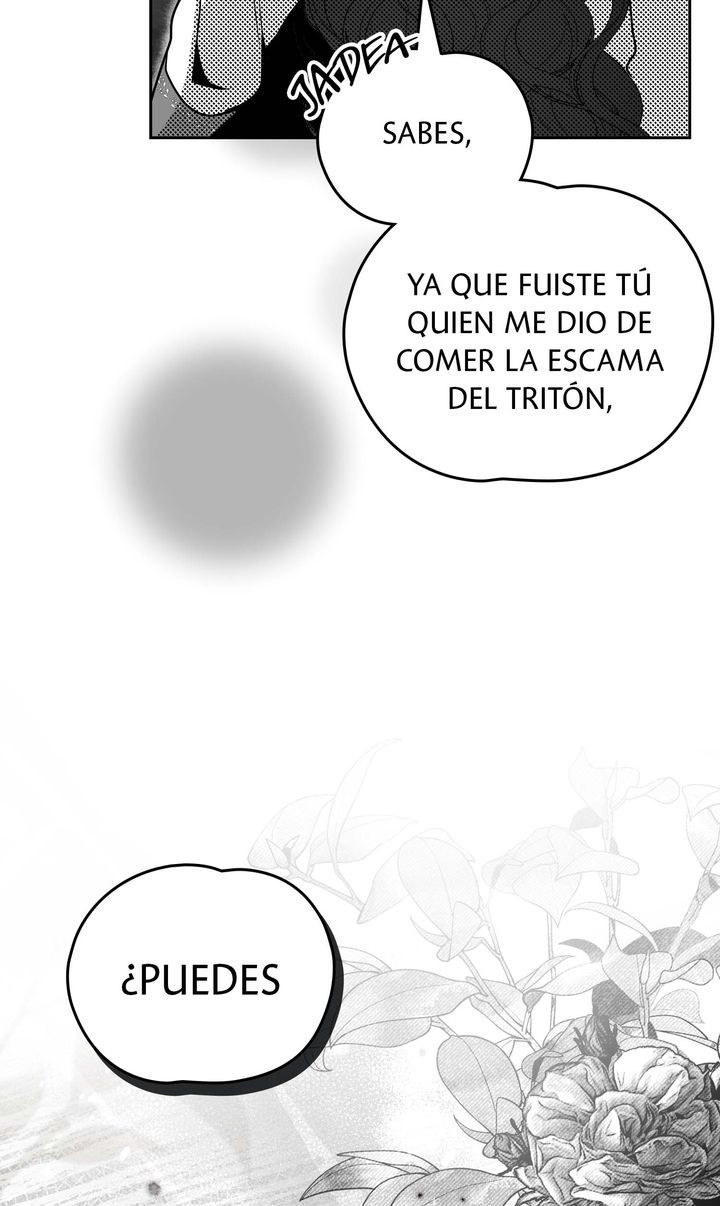 Página 55