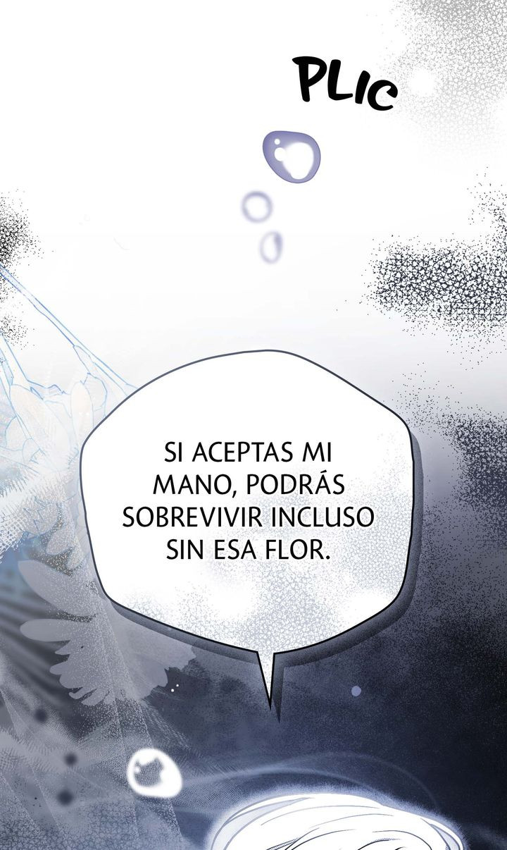 Página 91