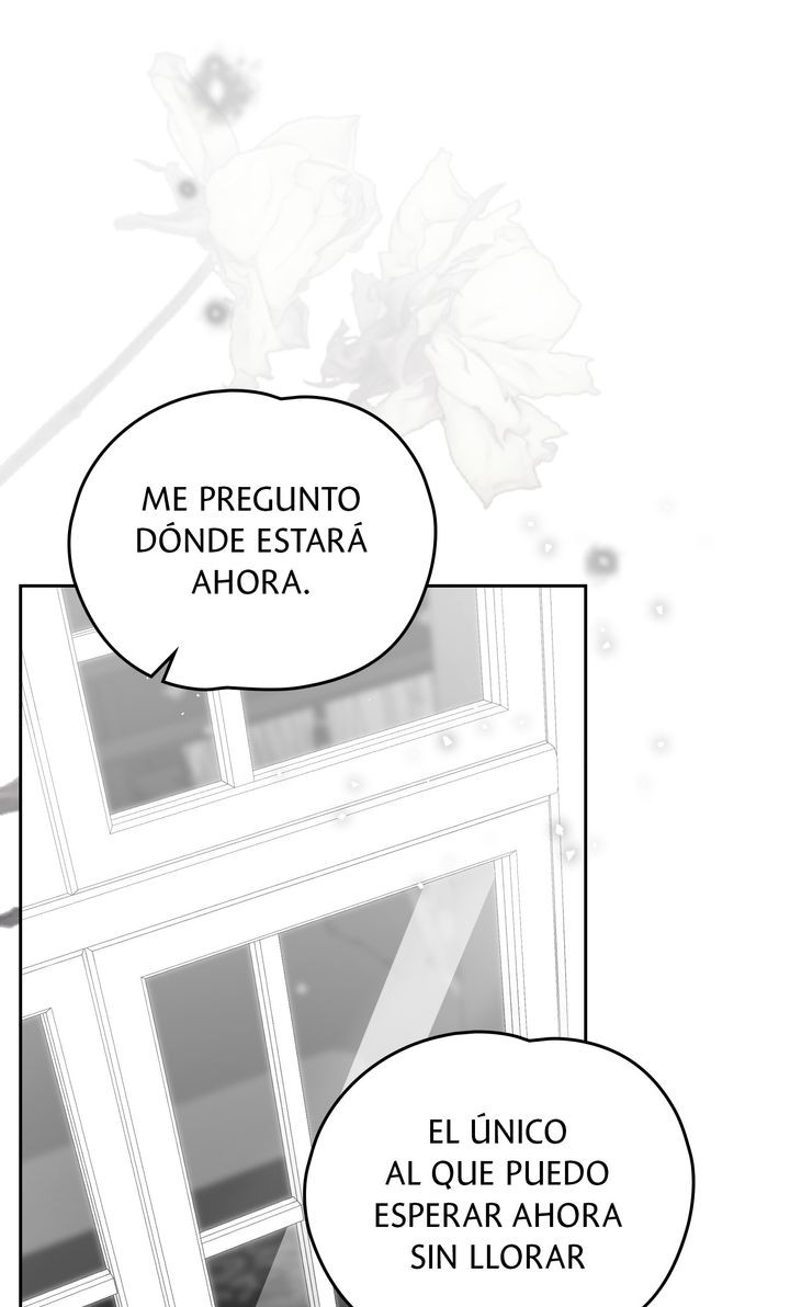 Página 66